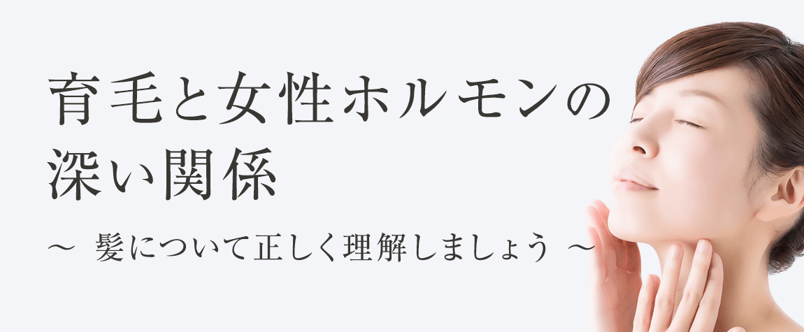 女性ホルモン エストラジオール と育毛の関係とは ヘアモア Hairmore 公式サイト