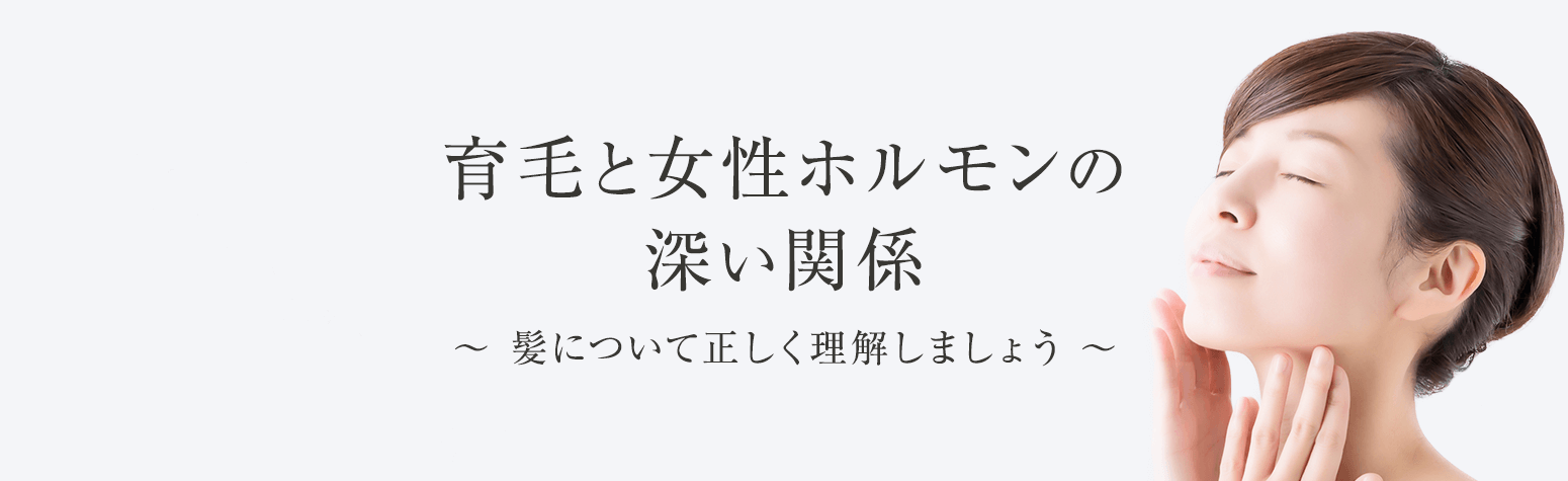 女性ホルモン エストラジオール と育毛の関係とは ヘアモア Hairmore 公式サイト